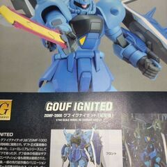 HGグフイグナイテッド　未組み立て品　プラモデルの画像