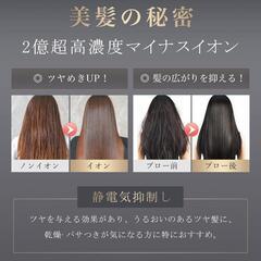 新品⭐️【美人百花掲載】ANLAN ダブルケアドライヤー LDK雑誌A評価 速乾の画像