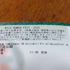 ワイルドバンチ チケット WILD BUNCH 2025 1日目 8/22（金）の画像
