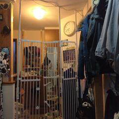 通れんにゃー。突っ張り通せんぼゲート。ペット脱走防止柵の画像