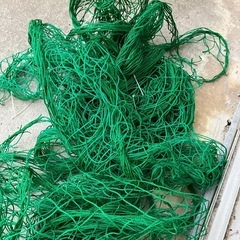 【決まりました】ネット　5つセット売りです　サイズ不明の画像