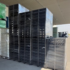 ハーフパレット1枚100円の画像