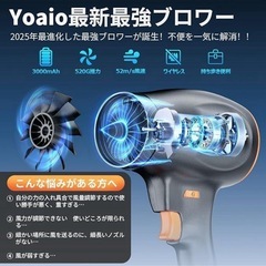 ブロワー エアダスター 6段風速ロック ノズル付き バッテリー2個の画像