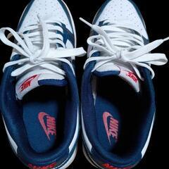 Nike Dunk Low "Valerian Blue"25cmの画像