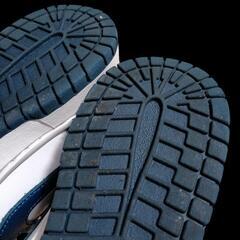 Nike Dunk Low "Valerian Blue"25cmの画像