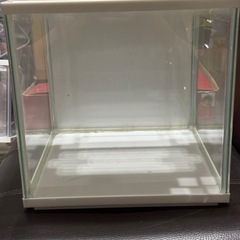 熱帯魚恵庭　25cmキューブ枠付き水槽(軽くて丈夫) (まとめ買い2000円以上の時500円)　の画像