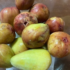 訳あり　無農薬いちじく　③の画像