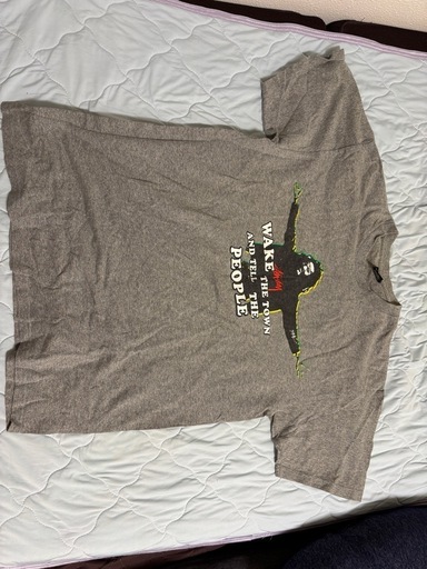 STUSSY 古着　tシャツ