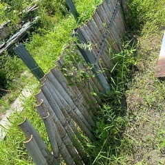盆栽園で使っていた資材たくさんあります‼️の画像