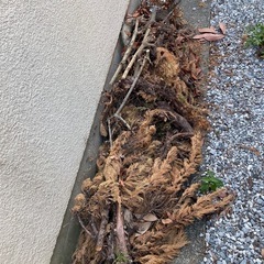 薪の画像
