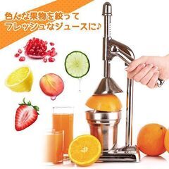 ★錆びにくい★ 300ml ハンドジューサー 果汁絞り器 ステンレス タンブラーの画像
