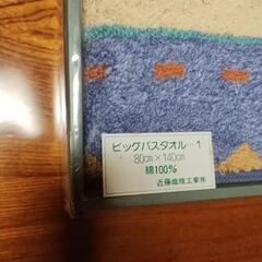 ビッグ バスタオル 80×140cm ロビソンズ ワールド ハーフタオルケット の画像