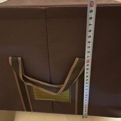 ライゼンタール　ストレージボックスLの画像