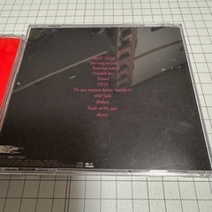 THE STEREOGANG アルバム💿２枚　中古品の画像