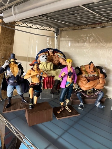 最終値下げ‼️白ひげ海賊団