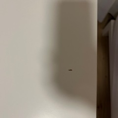 【IKEA】カスタマイズデスク、ワークデスクの画像