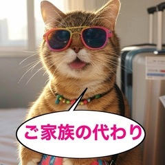 お友達、ご家族の代わりをさせて頂きます - 手伝いたい/助けたい