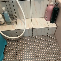 ペディシートの画像