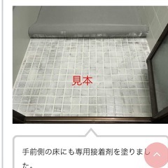 ペディシートの画像