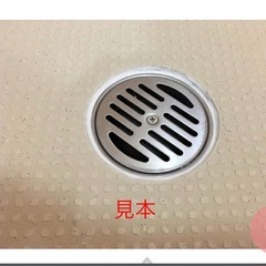 ペディシートの画像