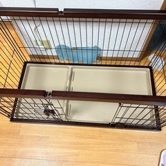 ケージの画像