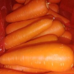 【激安】　野菜各種　オール100円の画像