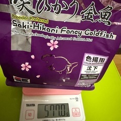 金魚餌セットです。
の画像