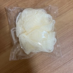 体洗う用のナイロンタワシ？
みたいなのの画像