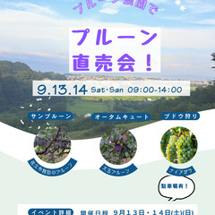 プルーン農園＼プルーン直売会＆ぶどう狩り／