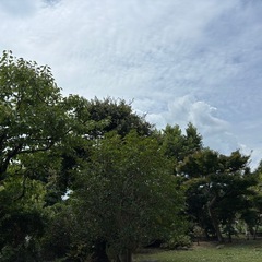 お庭の事何でもご相談ください！🌳の画像