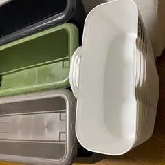 めだかの飼育容器 の画像