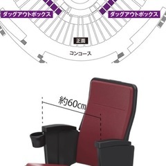 カープチケット　の画像