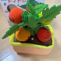 知育玩具　もぎもぎトマト畑の画像