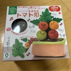 知育玩具　もぎもぎトマト畑の画像