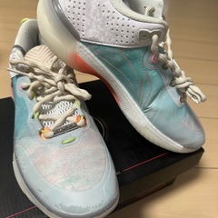 ウェイド バッシュ の画像