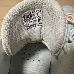 ウェイド バッシュ の画像
