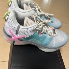 ウェイド バッシュ の画像