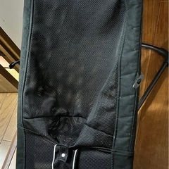BabyBjorn ベビービョルン　バウンサーの画像