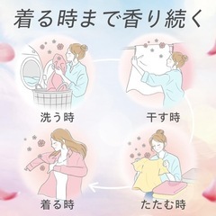 ニュービーズ 柔軟剤入り洗剤　ローズ＆マグノリア 本体の画像