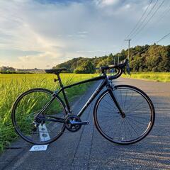 日本最安値で良品⭐Trek トレック EMONDA エモンダ ALR4 2017年モデル ロードバイクの画像