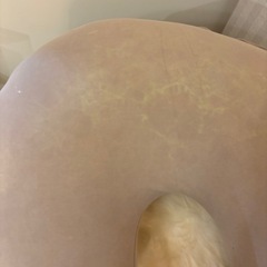Yogiboサポート　ヨギボーの画像