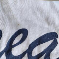 レディース Tシャツの画像