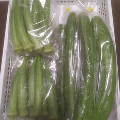 【激安】　野菜各種　オール100円の画像