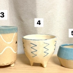 陶器植木鉢 カレーリーフ アボカド 5点セットの画像
