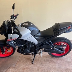 YAMAHA MT-25の画像
