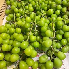 山梨県産　シャインマスカット　1キロ　はねだし　訳あり　　の画像