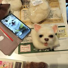 ペットを羊毛でそっくりに制作する教室です🐶の画像