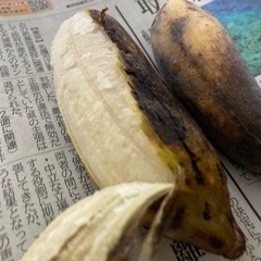 ≪草木も喜ぶ暑い夏！≫、うふぐすくナナ、2.6kg、沖縄南部産の画像