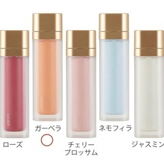 【新品未使用】保冷・保温 
LILICY 水筒 180ml ガーベラの画像