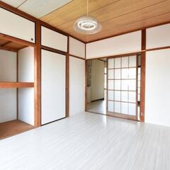 🌟敷礼無料！★初期費用キャンペーン中！ペット可内装リノベ済み★近...